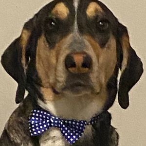 Meet your Posher, Jaymes